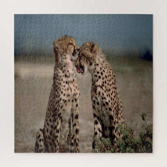 Cheetah Liebe Puzzle (Vertikal)