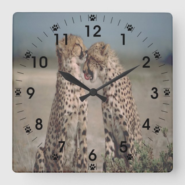 Cheetah Liebe Quadratische Wanduhr (Vorderseite)