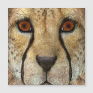Cheetah Magnetkarte