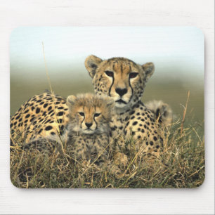 Cheetah-Mama und CUB Mousepad