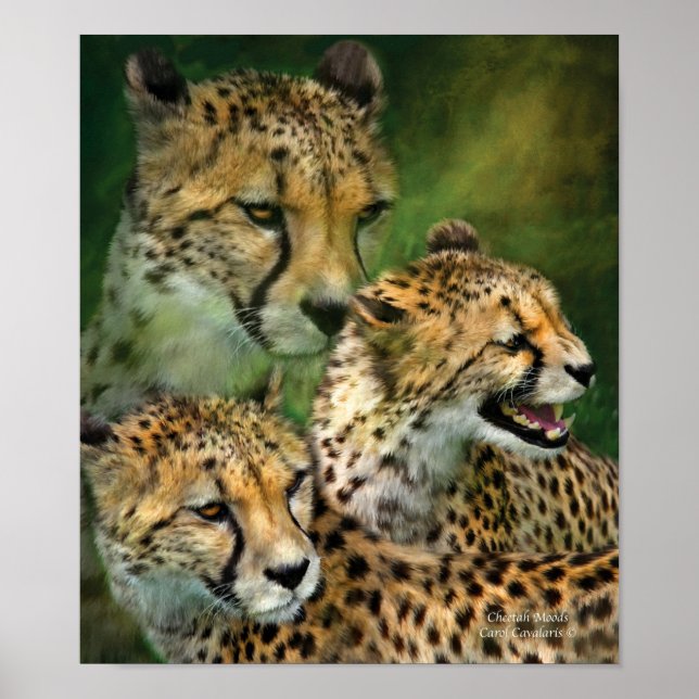 Cheetah Moods Art Poster/Print Poster (Vorne)