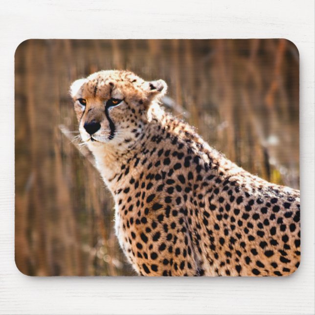 Cheetah Mousepad (Vorne)