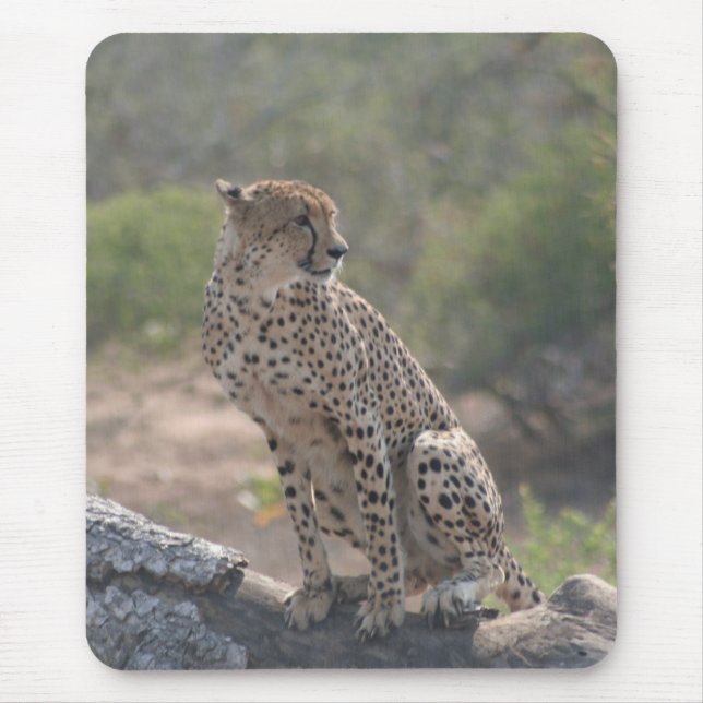 Cheetah Mousepad (Vorne)