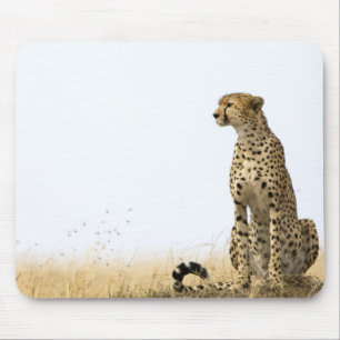 Cheetah Mousepad