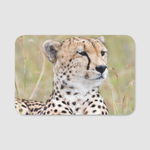 Cheetah Namensschild