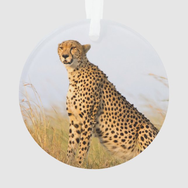 Cheetah Ornament (Rückseite)
