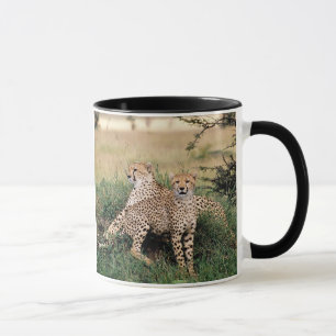 Cheetah Pair Tasse