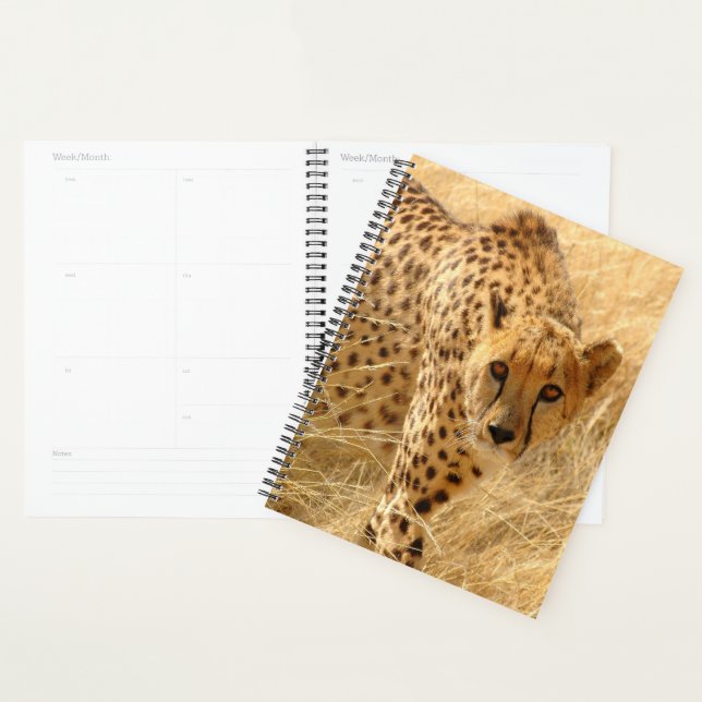 Cheetah Planer (Anzeige)