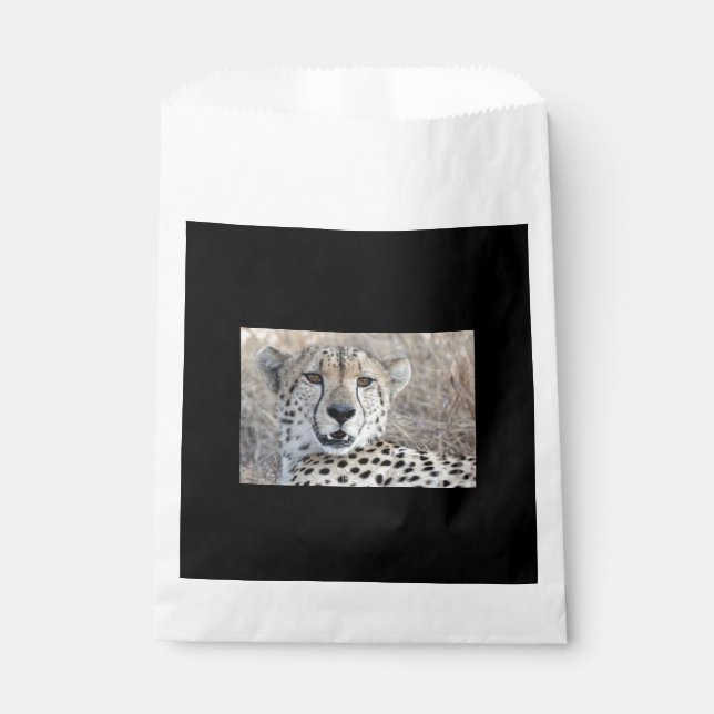 Cheetah Portrait Geschenktütchen (Vorderseite)