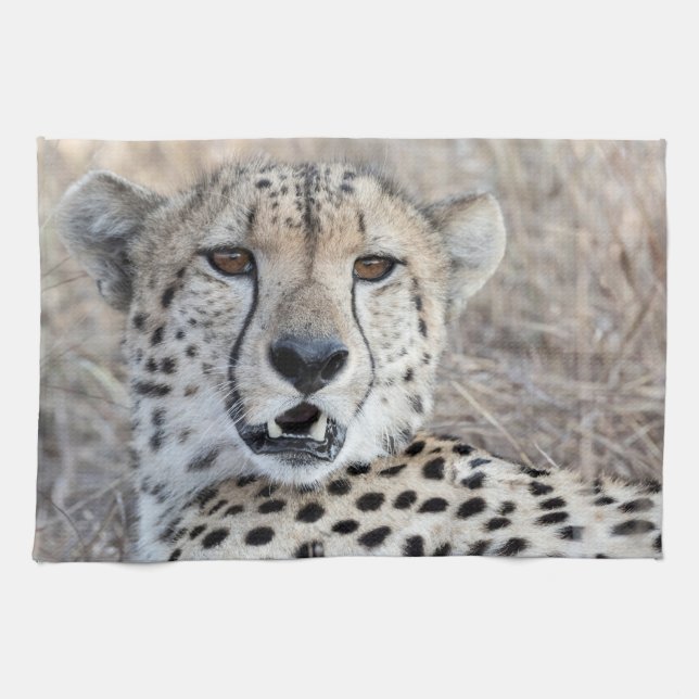 Cheetah Portrait Geschirrtuch (Horizontal)