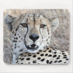 Cheetah Portrait Mousepad
