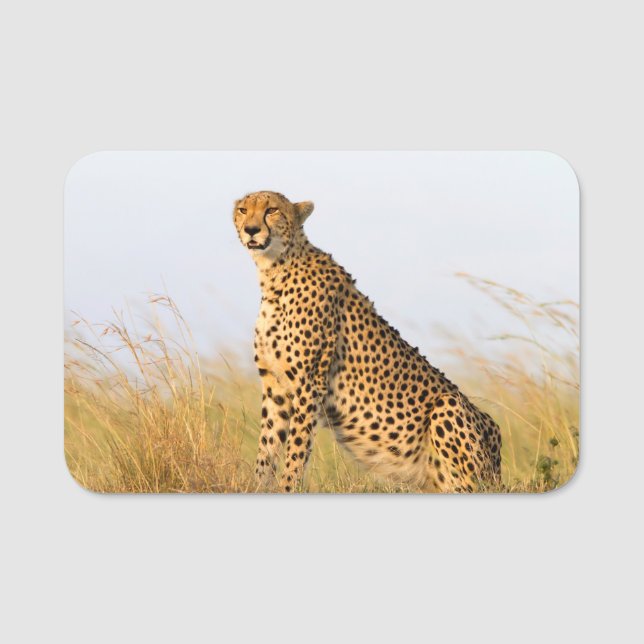 Cheetah Portrait Namensschild (Vorderseite)