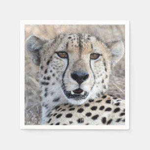 Cheetah Portrait Serviette