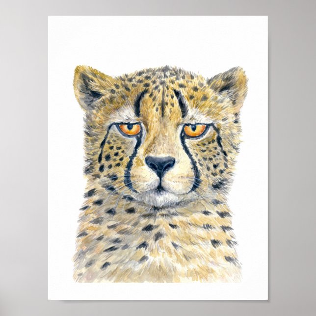 Cheetah Poster (Vorne)