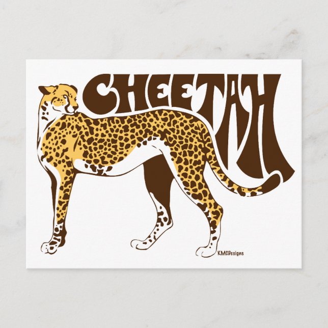 Cheetah Postkarte (Vorderseite)