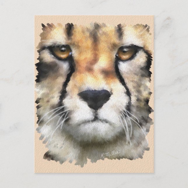 Cheetah Postkarte (Vorderseite)