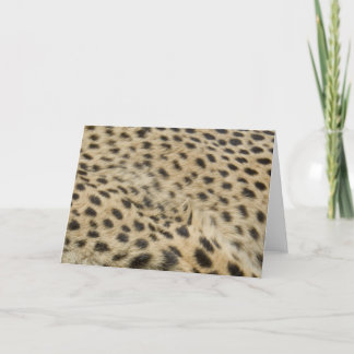 Cheetah Print Karte