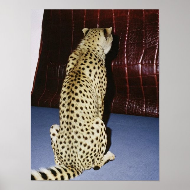 Cheetah Print Poster (Vorne)