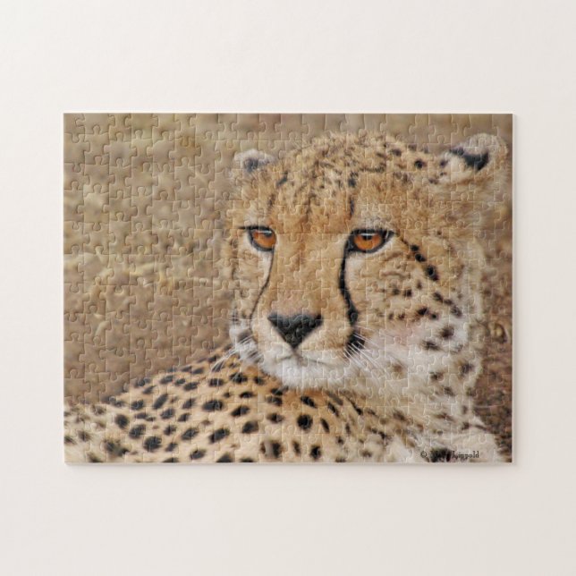 Cheetah  puzzle (Horizontal)