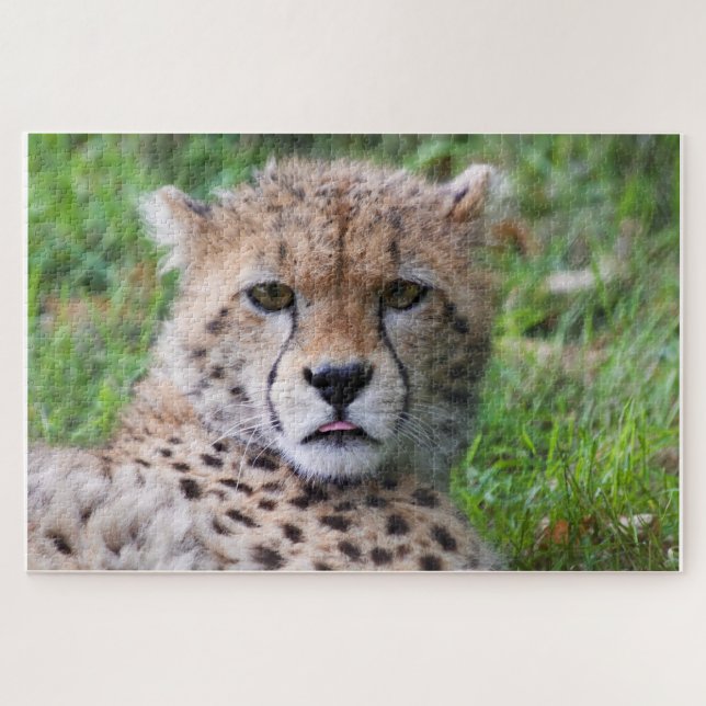 Cheetah Puzzle (Horizontal)