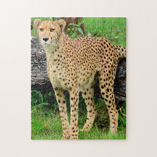 Cheetah Puzzle (Vertikal)
