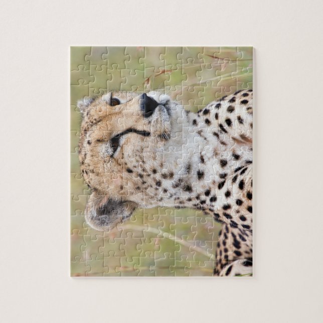 Cheetah Puzzle (Vertikal)