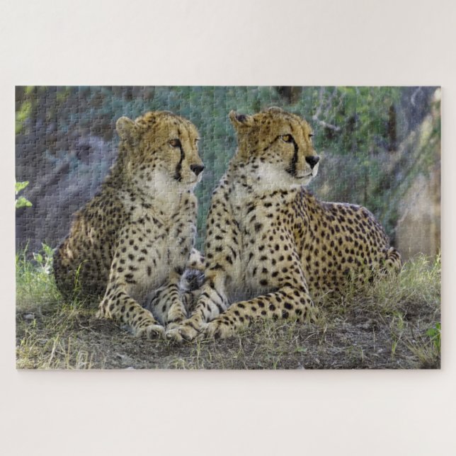 Cheetah Puzzle (Horizontal)