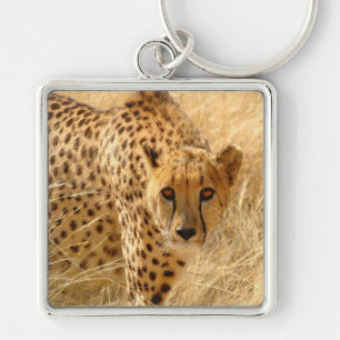 Cheetah Schlüsselanhänger