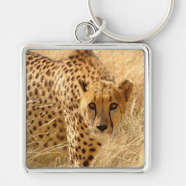 Cheetah Schlüsselanhänger (Vorne)