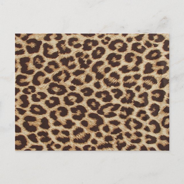 Cheetah Skin Print Postkarte (Vorderseite)
