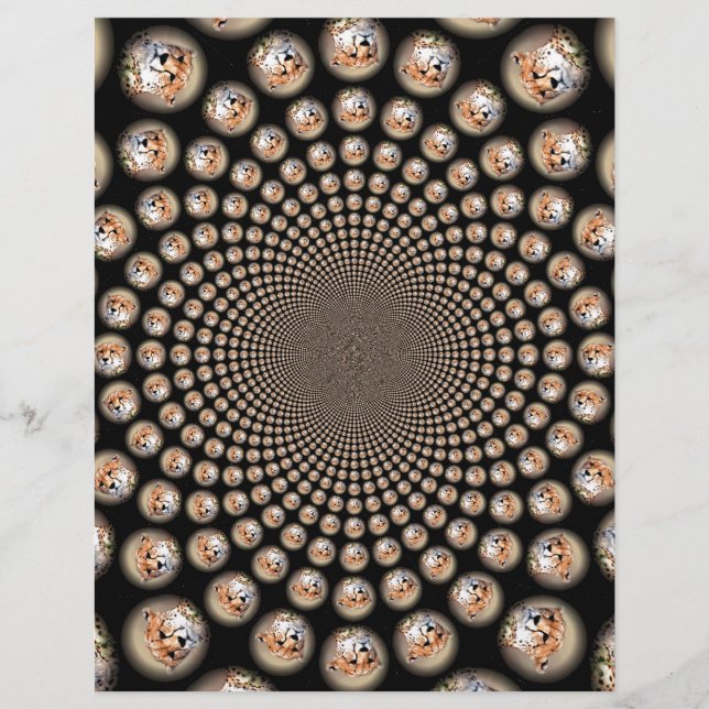 Cheetah Spin Spectacle - Feline Frenzy: Farbenfroh (Vorderseite)