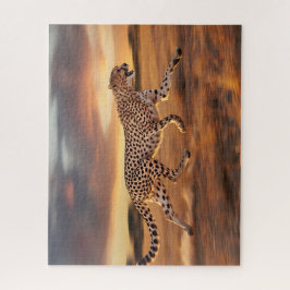 Cheetah Sprinting Puzzle