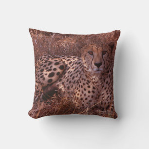 Cheetah Stare Kissen