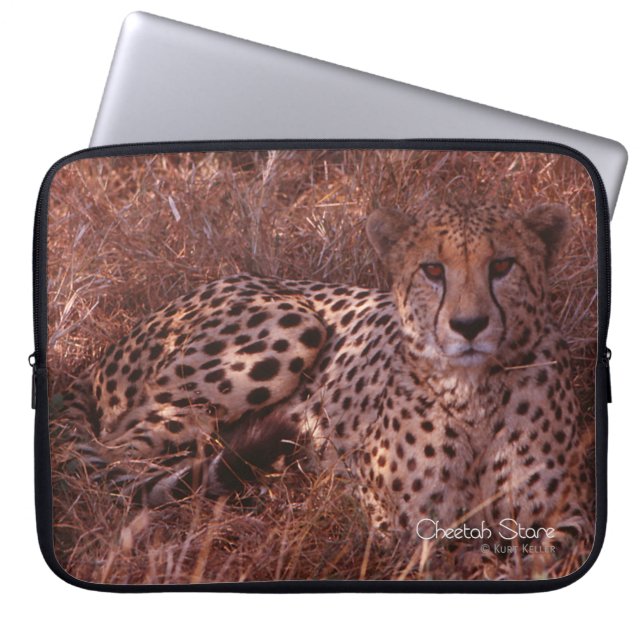 Cheetah Stare Laptopschutzhülle (Vorderseite)