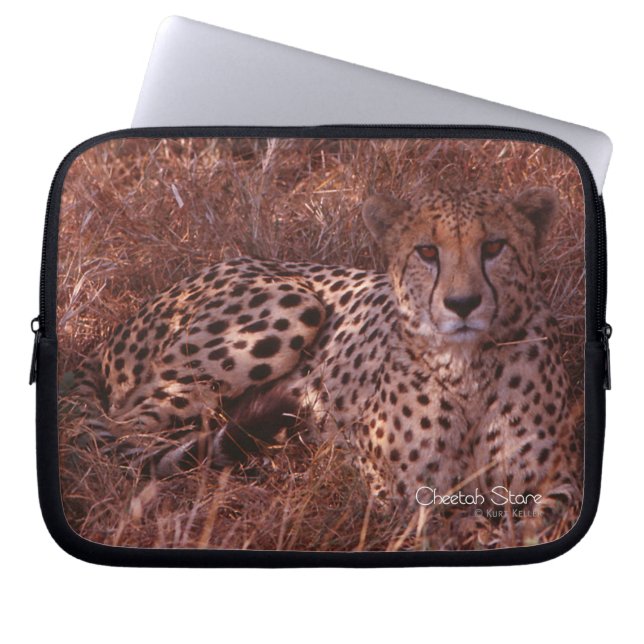 Cheetah Stare Laptopschutzhülle (Vorderseite)