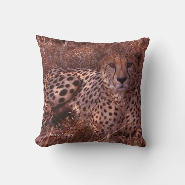 Cheetah Stare Pillow Kissen (Vorderseite)