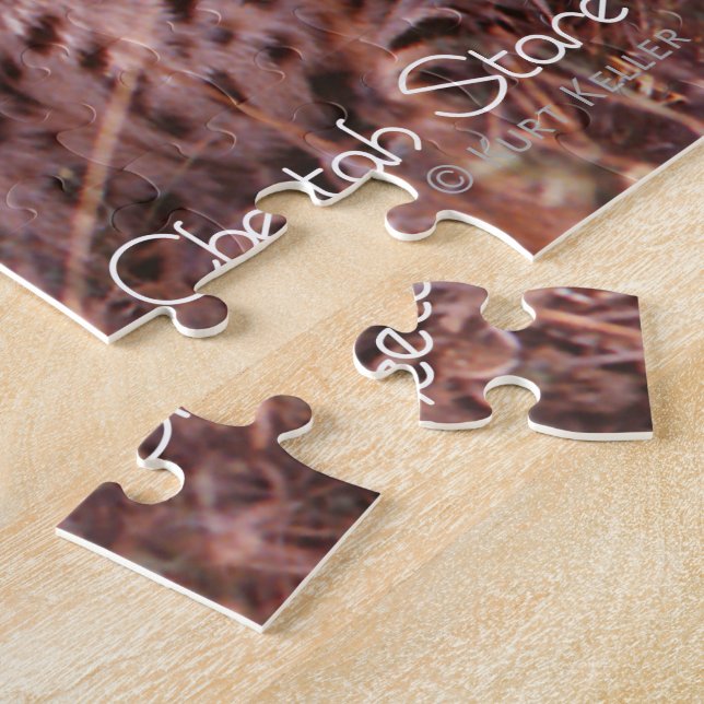 Cheetah Stare Puzzle (Seite)