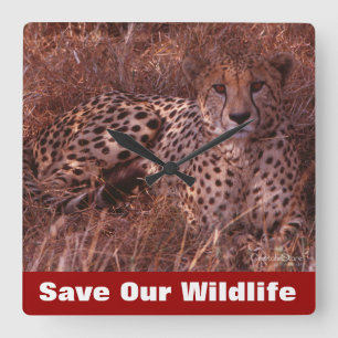 Cheetah Stare Quadratische Wanduhr