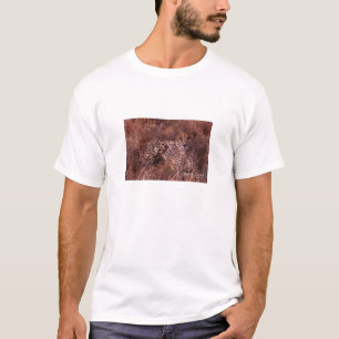 Cheetah Stare T-Shirt