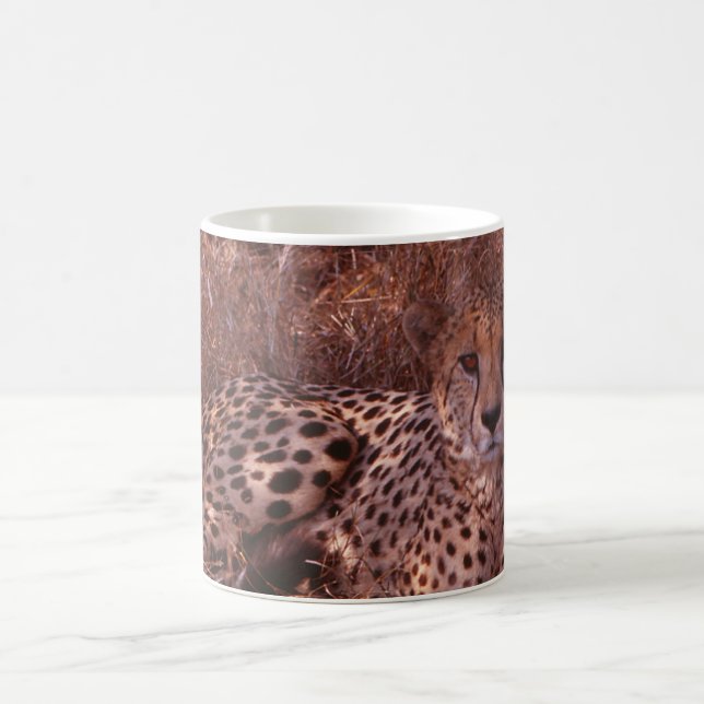 Cheetah Stare Tasse (Mittel)