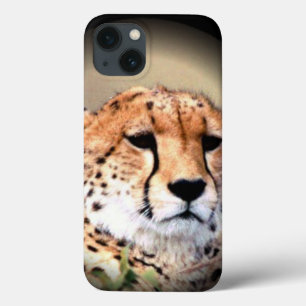 Cheetah Tear Marks Hakunamatata Case-Mate iPhone Hülle