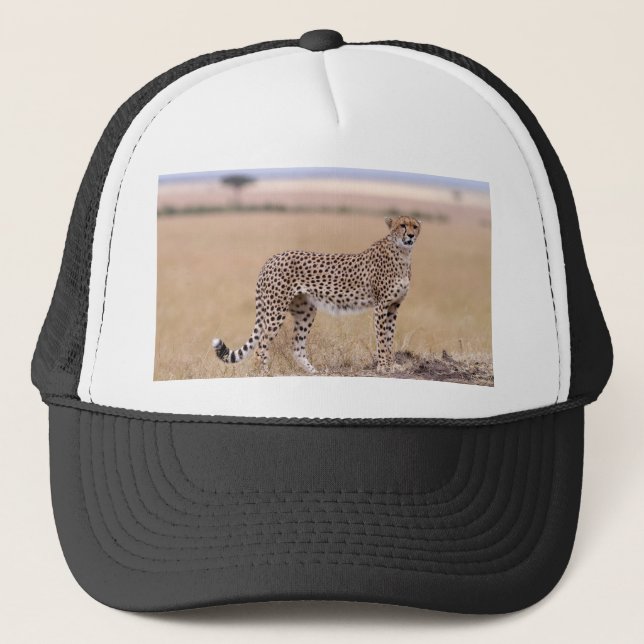 Cheetah Truckerkappe (Vorderseite)