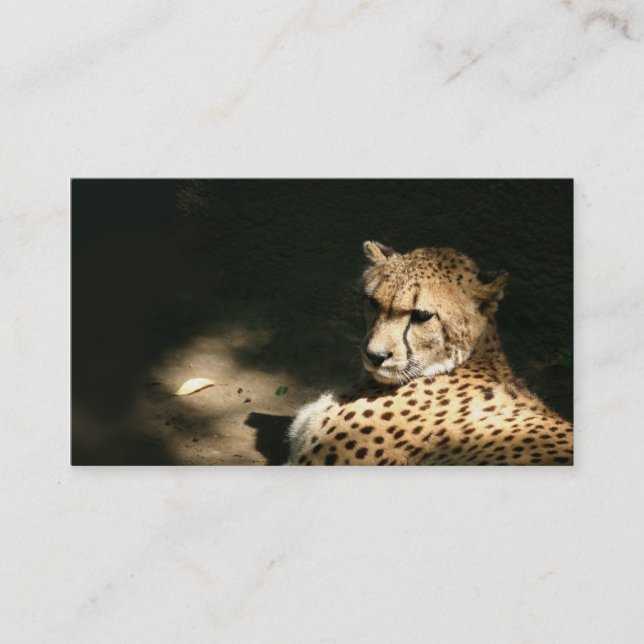 Cheetah-Visitenkarte Visitenkarte (Vorderseite)