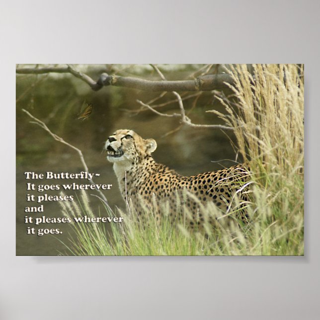 CHEETAH WATCHSCHALTFLY POSTER PROVERB (Vorne)