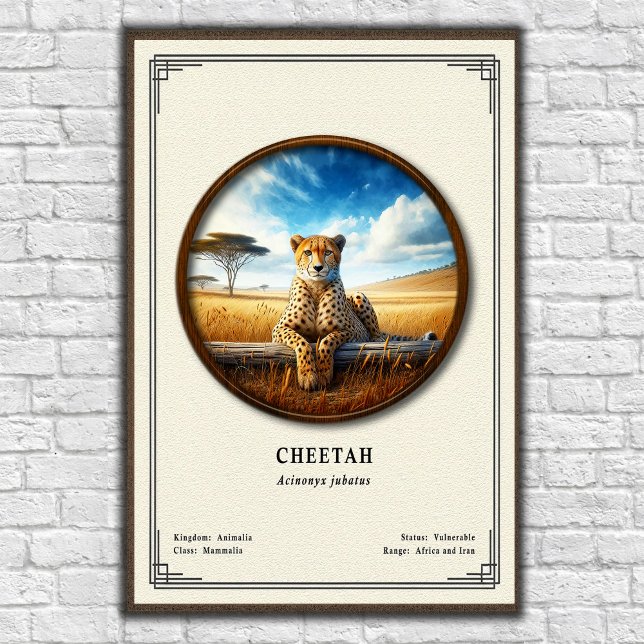 Cheetah Zoology Series Poster (Von Creator hochgeladen)