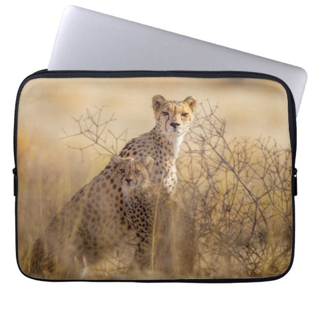 Cheetahs Laptopschutzhülle (Vorderseite)