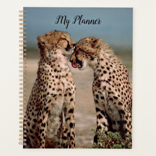 Cheetahs Planer (Vorderseite)