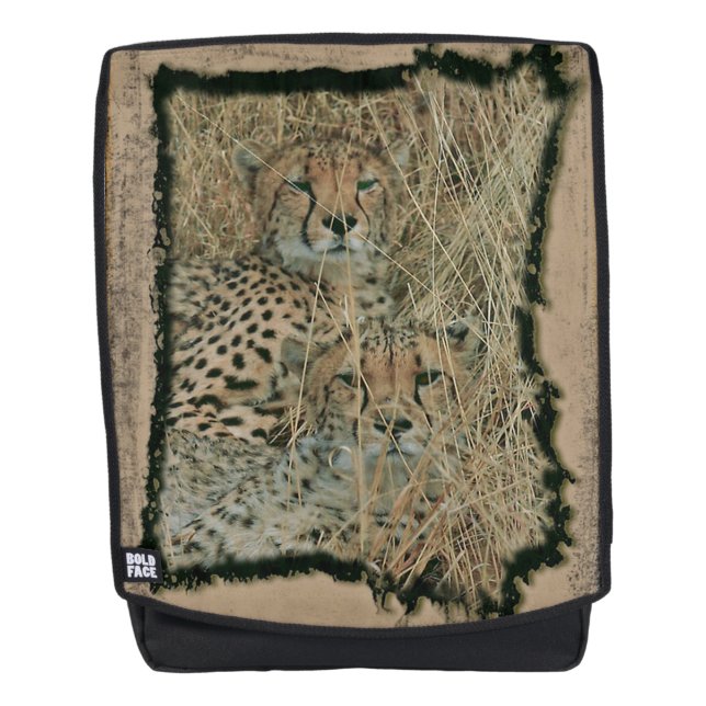 Cheetahs Rucksack (Vorderseite)
