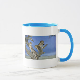 Cheetahs Tasse