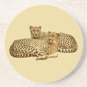 Cheetahs Untersetzer